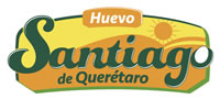 logo_01